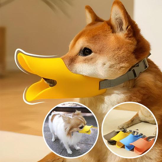 Muselière pour Chien - l'école du chien