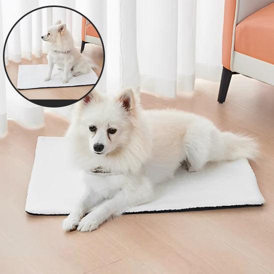 Tapis pour Chien - l'école du chien