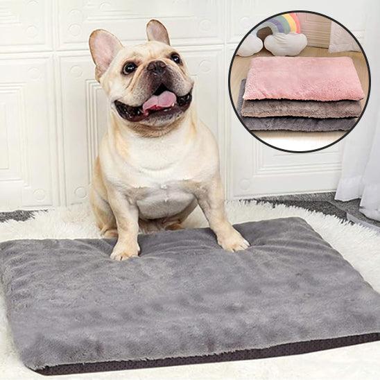 Tapis pour Chien - l'école du chien
