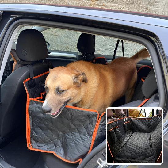 Protection Voiture Chien - l'école du chien