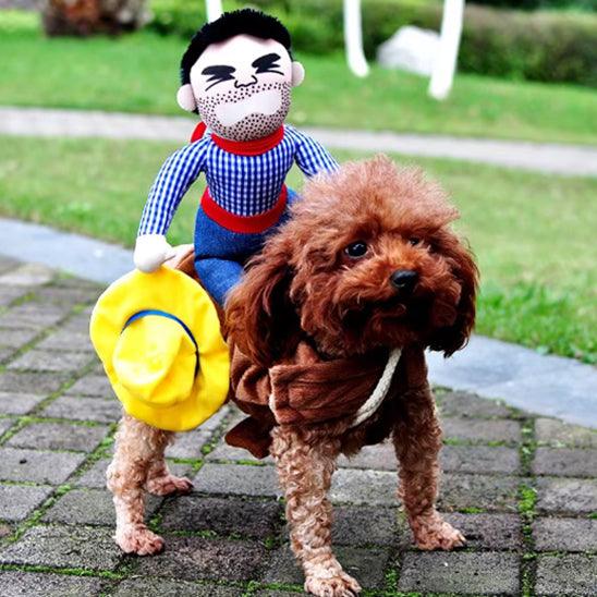 Déguisement Chien - l'école du chien