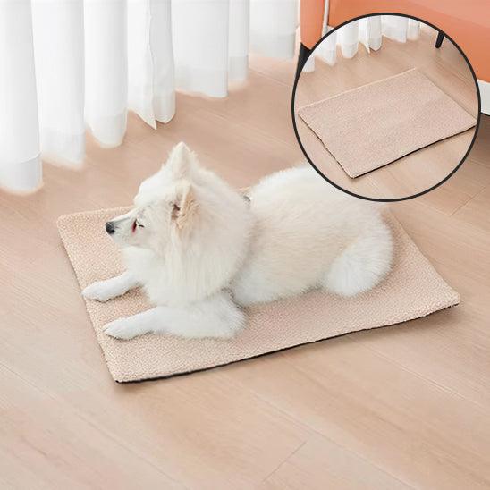 Tapis pour Chien - l'école du chien