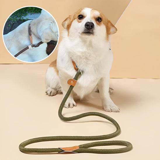 Laisse pour Chien - l'école du chien