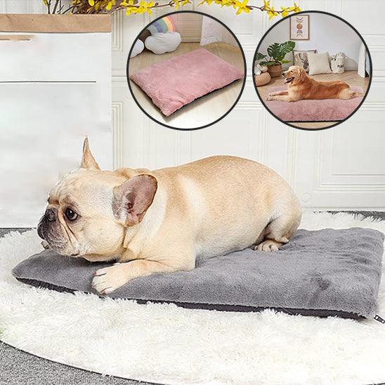 Tapis pour Chien - l'école du chien