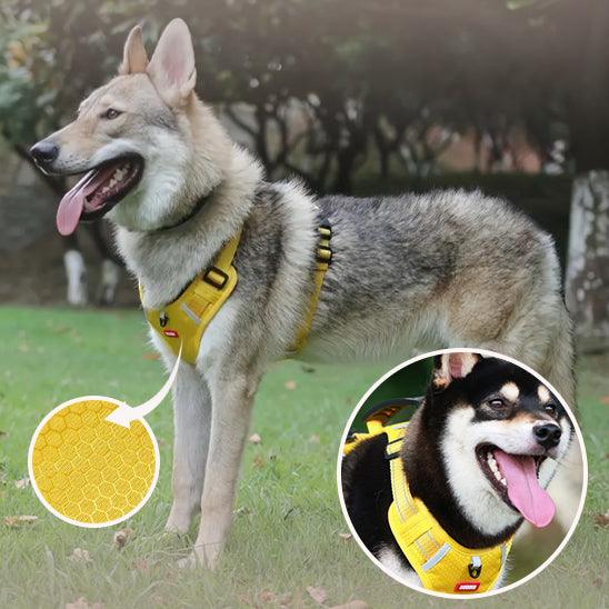 Harnais Anti Traction - l'école du chien