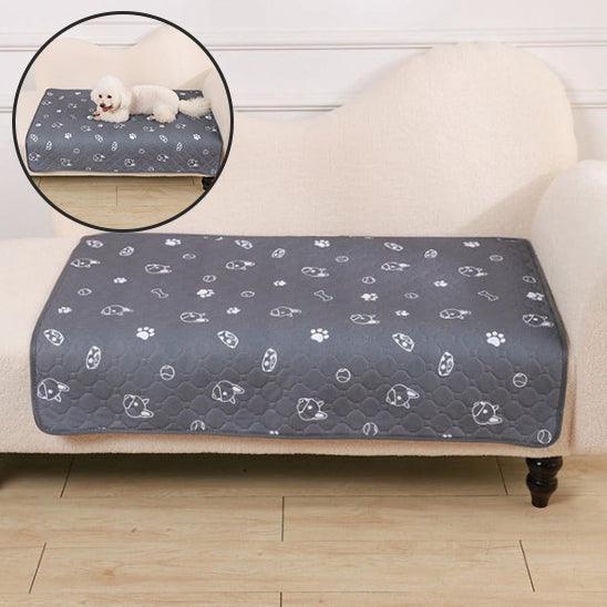 Tapis pour Chien - l'école du chien