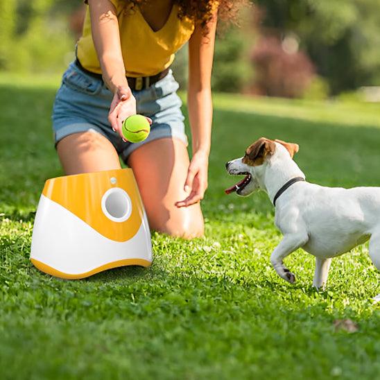 Lanceur de Balle pour Chien - l'école du chien