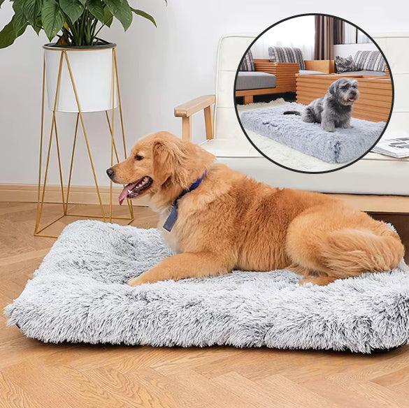 Tapis pour Chien - l'école du chien