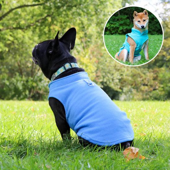 Manteau Chien - l'école du chien