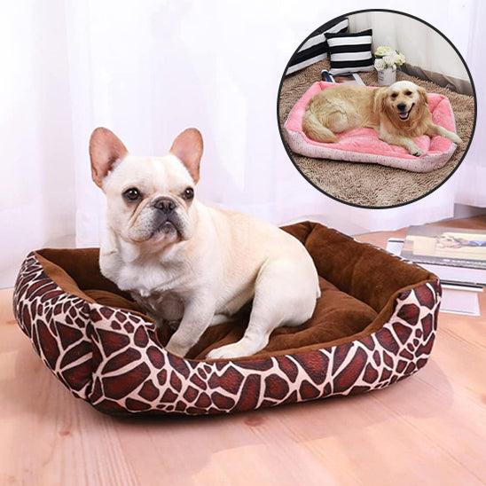 Coussin Chien - l'école du chien
