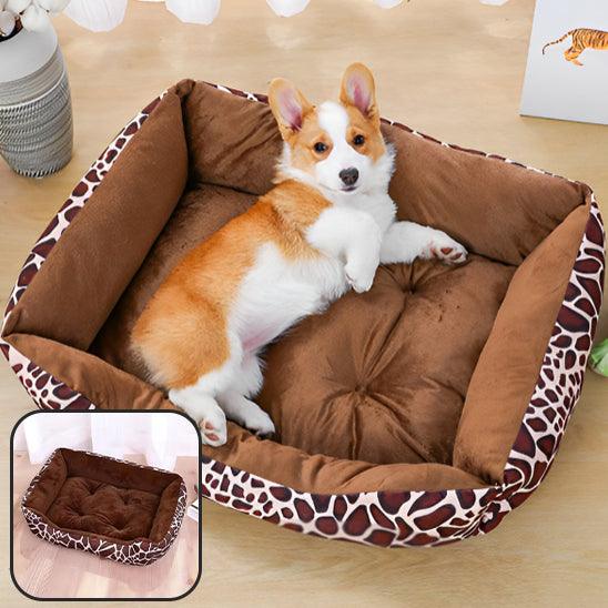 Coussin Chien - l'école du chien