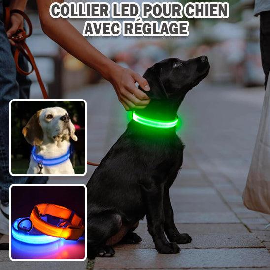 GlowPaw™ | Collier Lumineux pour Chien - l'école du chien