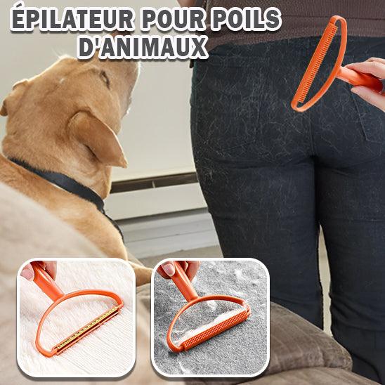 Brosse Anti Poil - l'école du chien