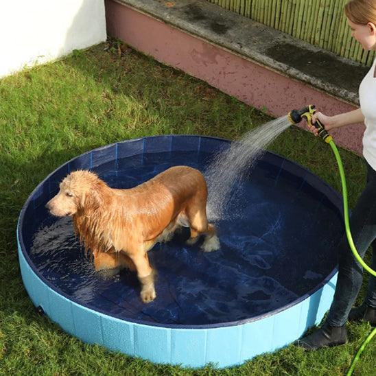 Piscine pour Chien - l'école du chien