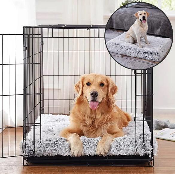 Tapis pour Chien - l'école du chien