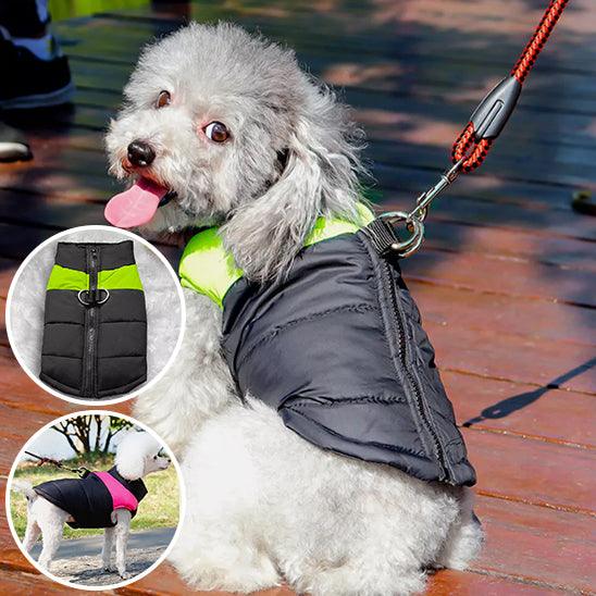 Imperméable Chien - l'école du chien