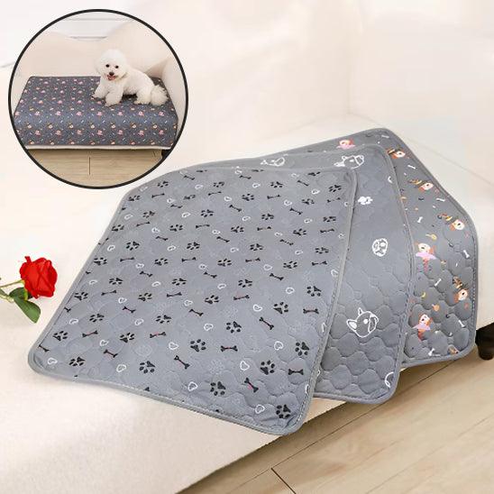 Tapis pour Chien - l'école du chien