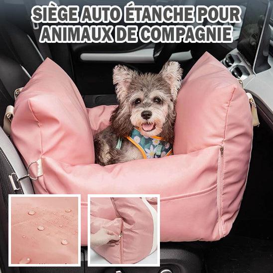 Siege Auto Chien - l'école du chien