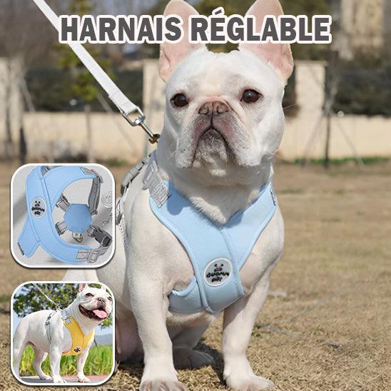 Harnais Chien - l'école du chien