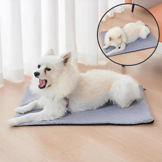 Tapis pour Chien - l'école du chien