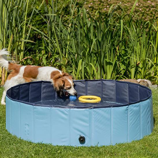 Piscine pour Chien - l'école du chien