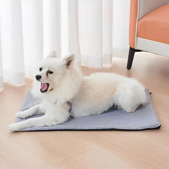 Tapis pour Chien - l'école du chien