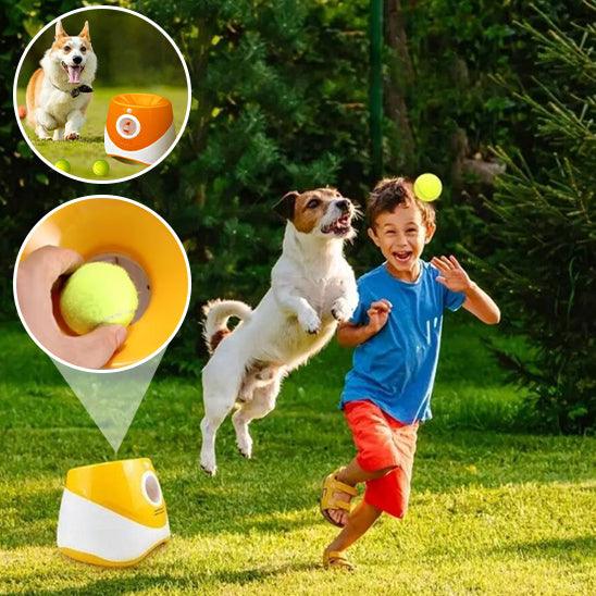 Lanceur de Balle pour Chien - l'école du chien