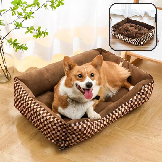 Coussin Chien - l'école du chien