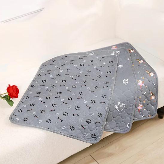 Tapis pour Chien - l'école du chien