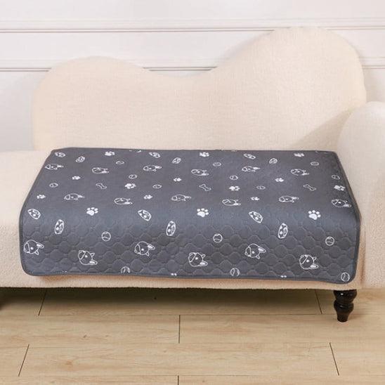 Tapis pour Chien - l'école du chien