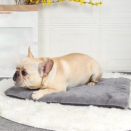 Tapis pour Chien - l'école du chien