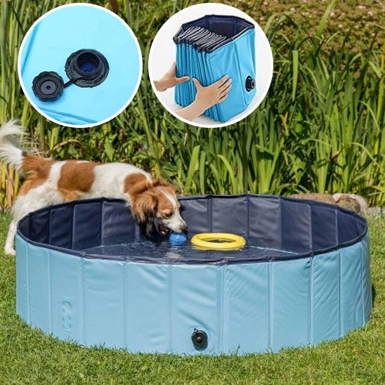 Piscine pour Chien - l'école du chien