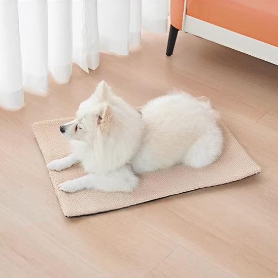 Tapis pour Chien - l'école du chien