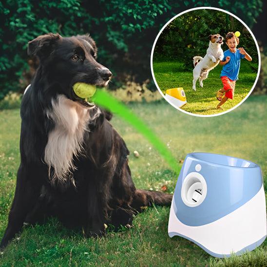 Lanceur de Balle pour Chien - l'école du chien