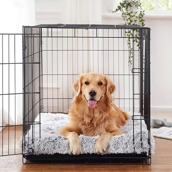 Tapis pour Chien - l'école du chien
