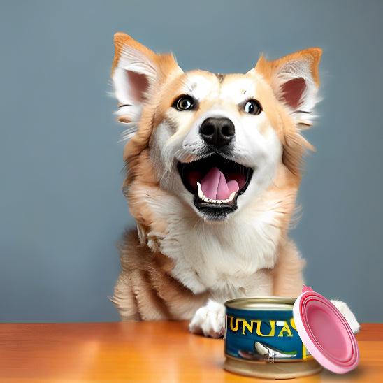 Couvercle Silicone - l'école du chien