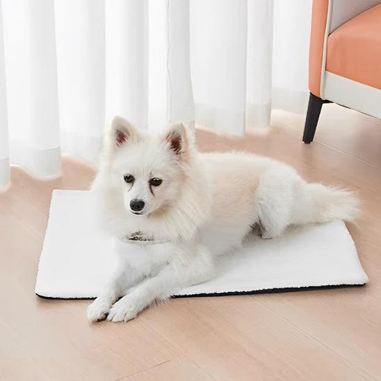 Tapis pour Chien - l'école du chien
