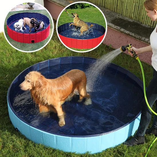 Piscine pour Chien - l'école du chien