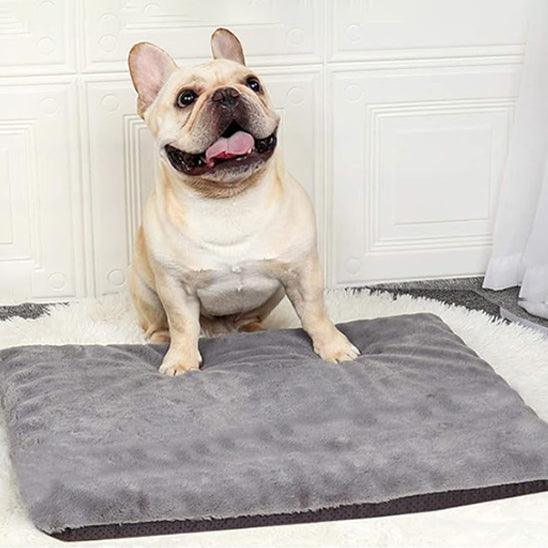 Tapis pour Chien - l'école du chien