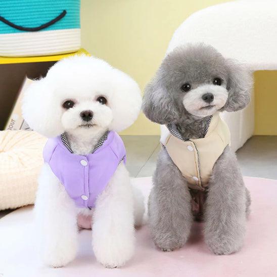 Manteau Chien - l'école du chien