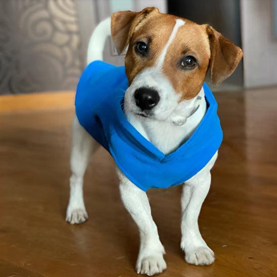 Manteau Chien - l'école du chien