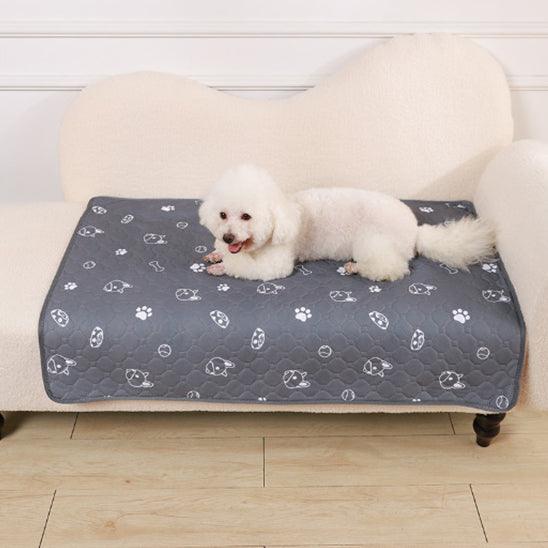 Tapis pour Chien - l'école du chien