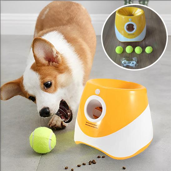 Lanceur de Balle pour Chien - l'école du chien