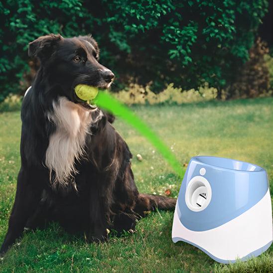 Lanceur de Balle pour Chien - l'école du chien