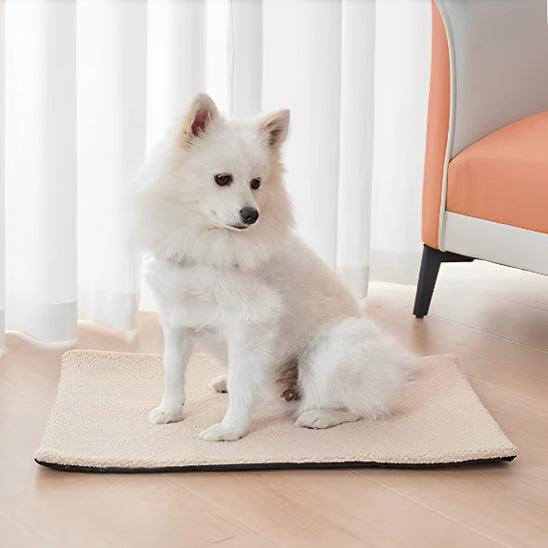 Tapis pour Chien - l'école du chien