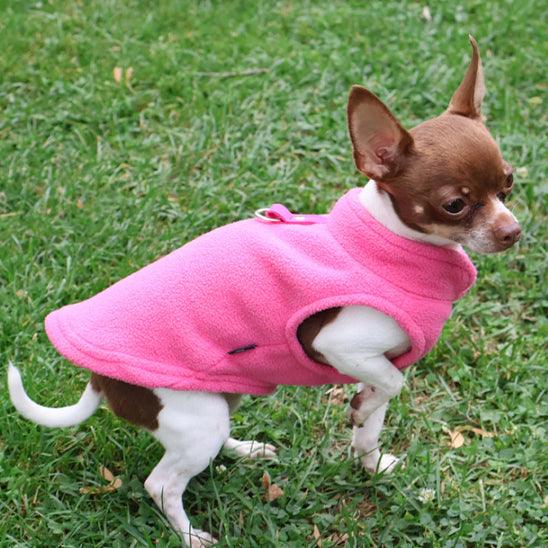 Manteau Chien - l'école du chien