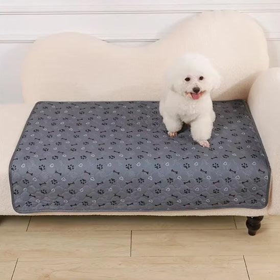 Tapis pour Chien - l'école du chien