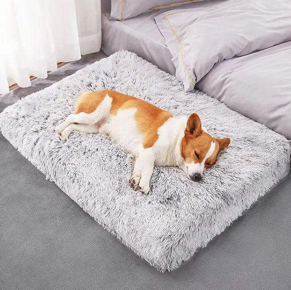 Tapis pour Chien - l'école du chien