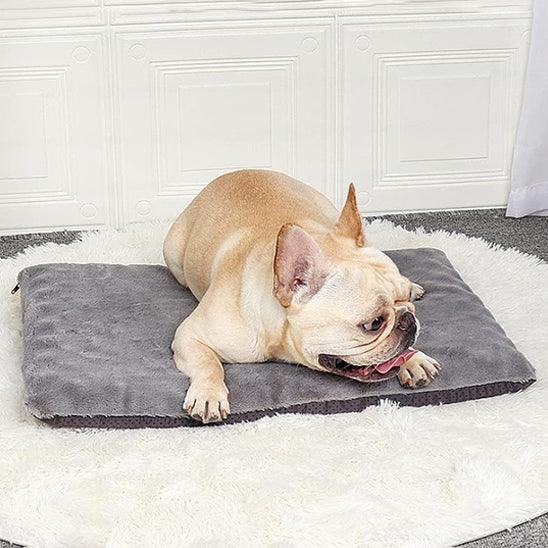 Tapis pour Chien - l'école du chien