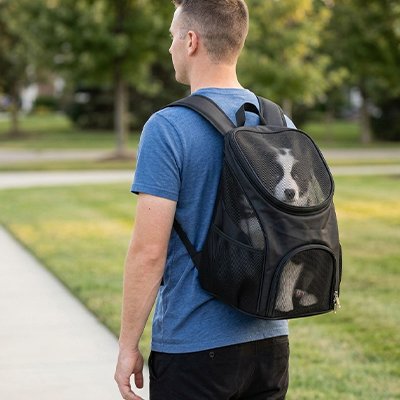 Sac a dos chien